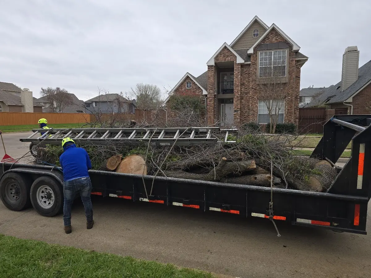 Expert Lot Clearing with proper safety equipment in Electra